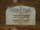 image of grave number 558256